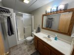 Lower level bathroom